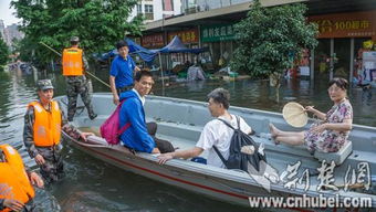 南湖孤島里的 招手停