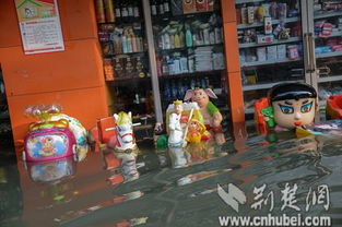 南湖孤島里的招手停 風華天城的倒影